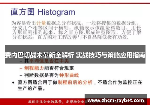 费内巴切战术革新全解析 实战技巧与策略应用指南
