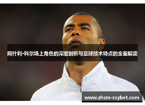 阿什利·科尔场上角色的深度剖析与足球技术特点的全面解读